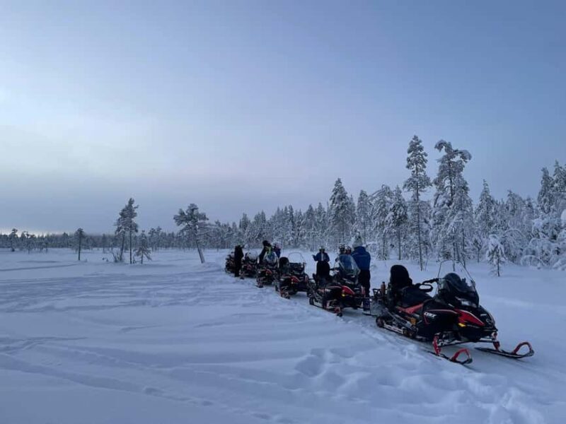 Ylläs: Snowmobile trip in a forest with a family company - Key Points