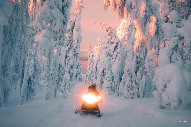 Ylläs:Snowmobile safari to forest kota with a family company - Key Points
