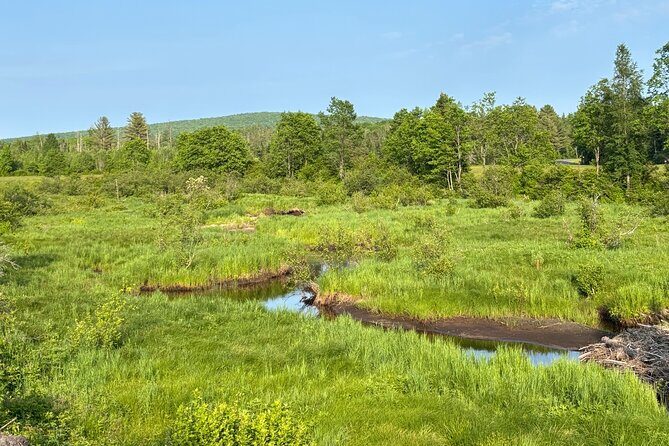 Yoga on the Farm in the Adirondacks - The Sum Up