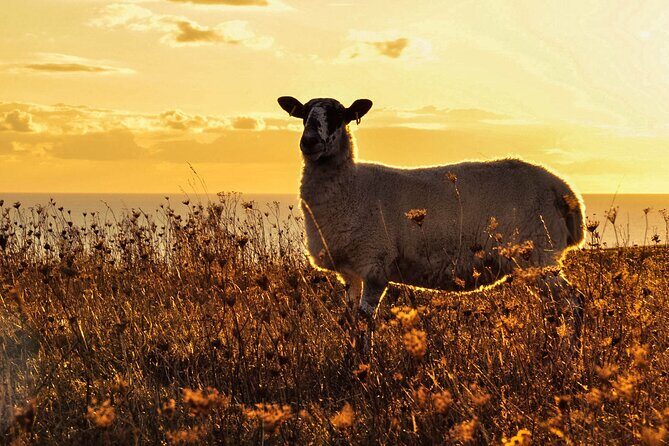 Yoga & Soundbath in Nature near Brighton - Frequently Asked Questions