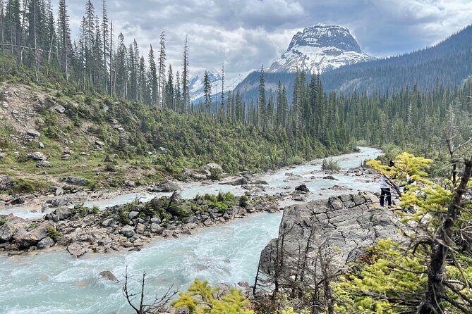 Yoho Day Tour, Emerald Lake, Natural Bridge and Takakkaw Falls - Who is This Tour Best Suited For?