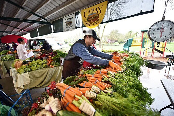 Yolo County Explorer: Culinary & Cultural Audio Tour - What’s the Experience Like?