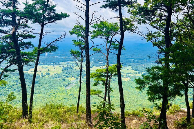 Yonah Mountain Hike Private Tour in Georgia - What You Can Expect from the Yonah Mountain Hike Private Tour