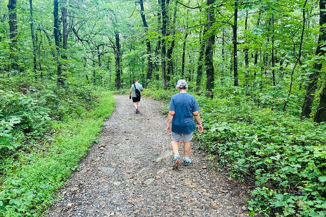 Yonah Mountain Hike Private Tour in Georgia - Frequently Asked Questions