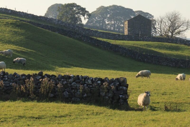York: "All Creatures Great and Small" Yorkshire Dales Tour - Final Thoughts