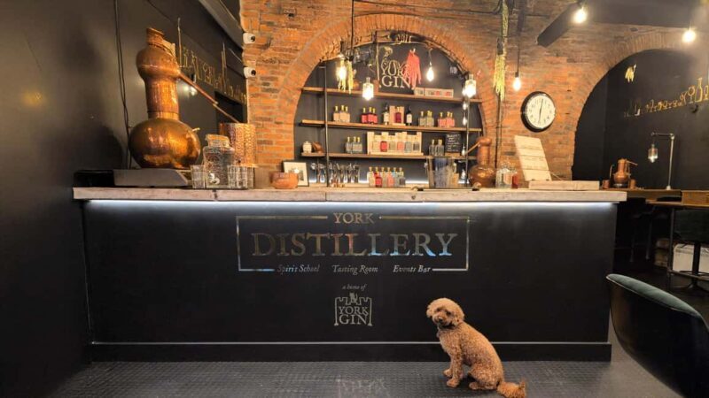 York: Gin Tasting Experience at York Distillery - Practical Details That Matter