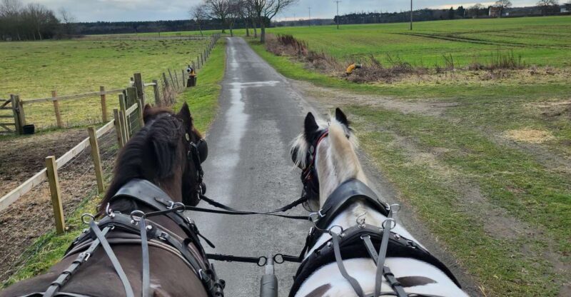 York: Horse Drawn Carriage ride & Cream Tea - What to Expect from the Carriage Ride Experience