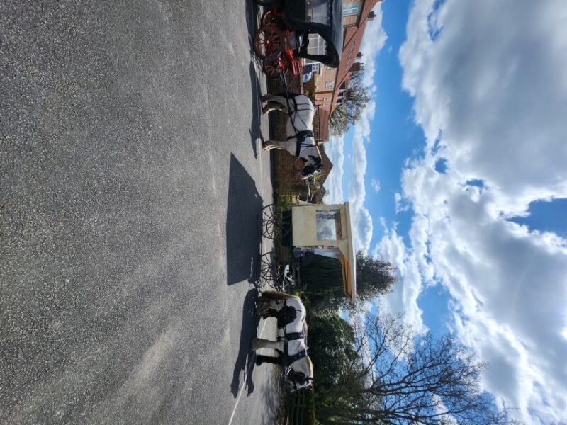 York: Horse Drawn Carriage ride & Cream Tea - The Practical Details