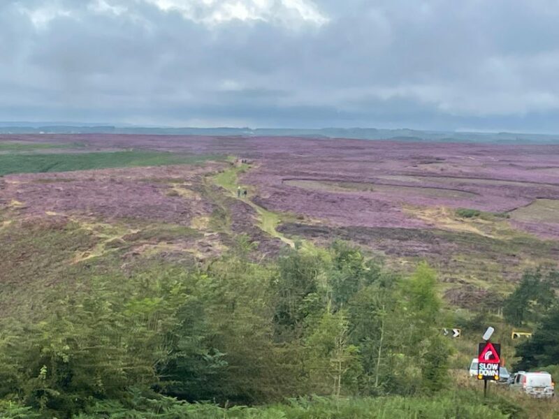 York: J&Ms City Sightseeing and History Tour - Who Will Love This Tour?