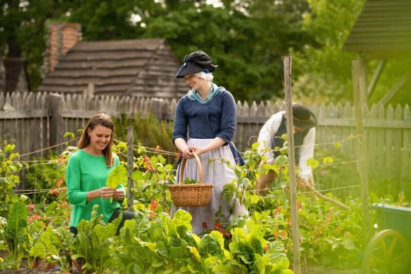 Yorktown American Revolution Museum Ticket with Combo Option - What You Can Expect at the Yorktown American Revolution Museum