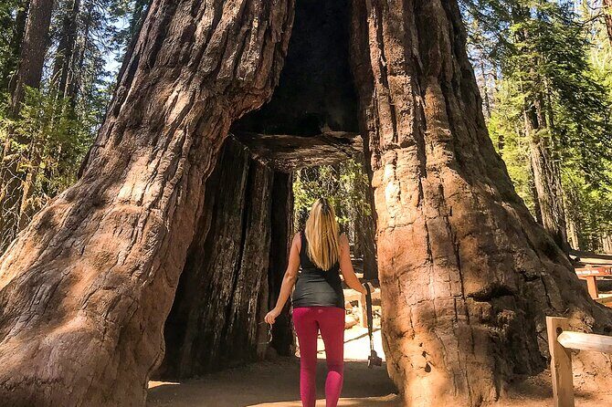 Yosemite 3-Day Camping Adventure from San Francisco - What’s Included and What’s Not?