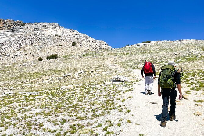 Yosemite: A Guided Father & Son Adventure - An In-Depth Look at the Yosemite Private Tour
