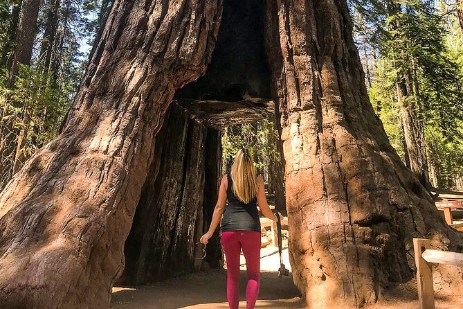 Yosemite and Giant Sequoias Day Tour - Final Thoughts: Is It Worth It?