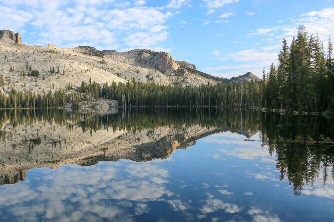 Yosemite and Kings Canyon National Park 2 Day Tour from LA - What Makes This Tour Stand Out?
