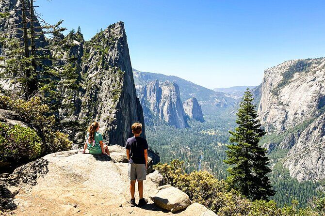 Yosemite Family Explorers - Customizable Private Tour - Is This Tour Right for You?