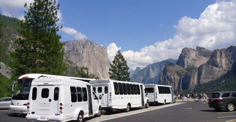 Yosemite: Full-Day Tour with Lunch and Hotel Pick-up - Who Will Love This Tour?
