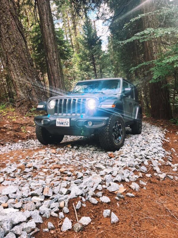 Yosemite: Giant Sequoia Private 4X4 Jeep Tour - What This Tour Offers