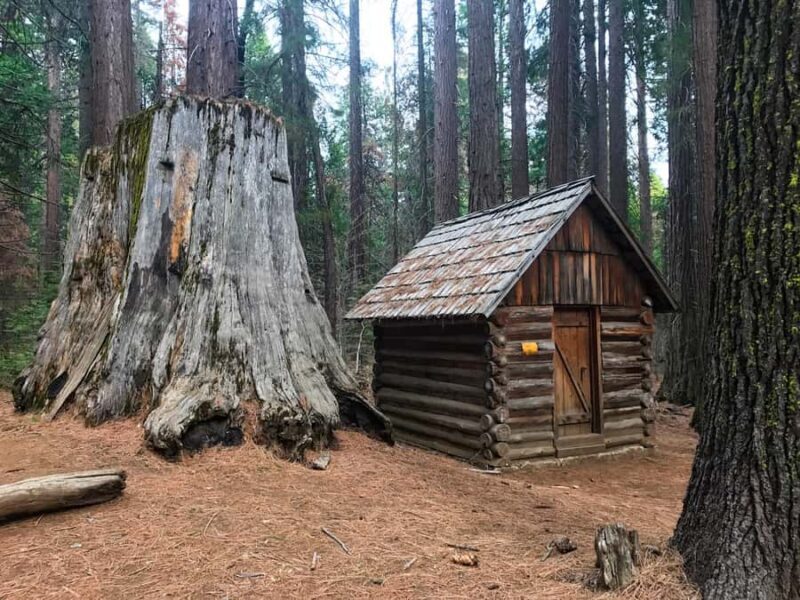 Yosemite: Giant Sequoia Private 4X4 Jeep Tour - The Guide and Overall Experience