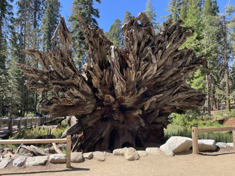 Yosemite, Giant Sequoias, Private Tour from San Francisco - Frequently Asked Questions