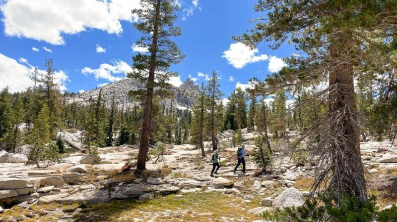Yosemite: High Country Explorer - Private Hiking Tour - The Sum Up