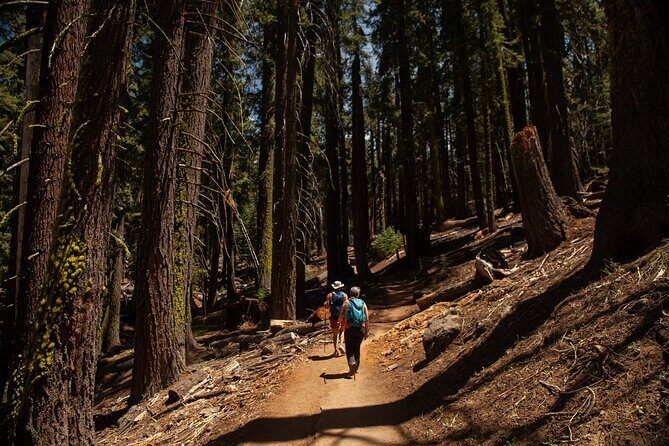 Yosemite High Country & Mariposa Full Day Small Group Tour & Hike - FAQ