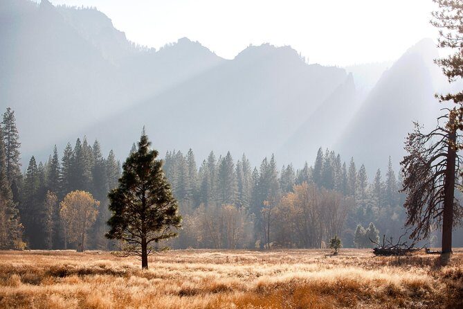 Yosemite Highlights & Giant Sequoias Day Tour from San Francisco - The Ride to Yosemite: Setting the Stage