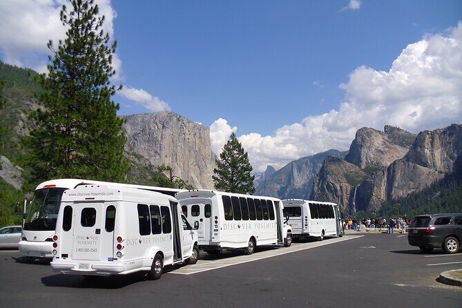 Yosemite Highlights Small Group Tour - Downsides to Keep in Mind