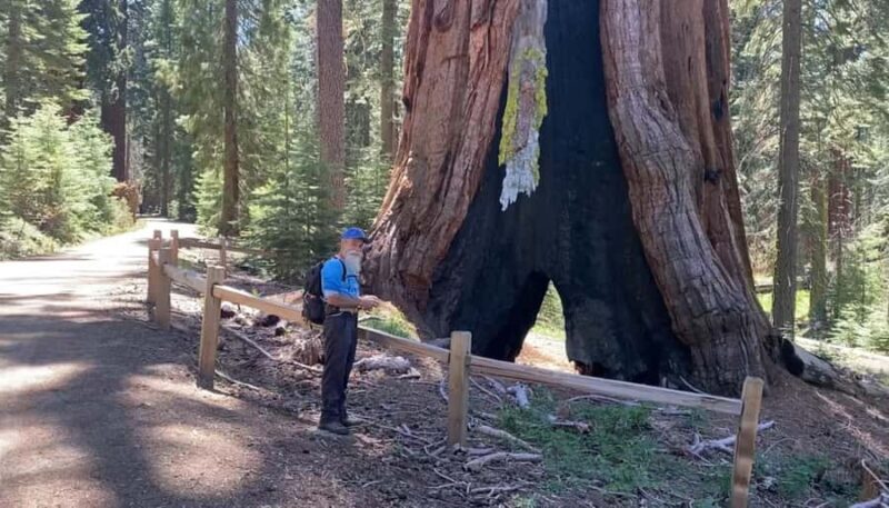 Yosemite: Mariposa Grove Guided Hike with Giant Sequoias - Key Points