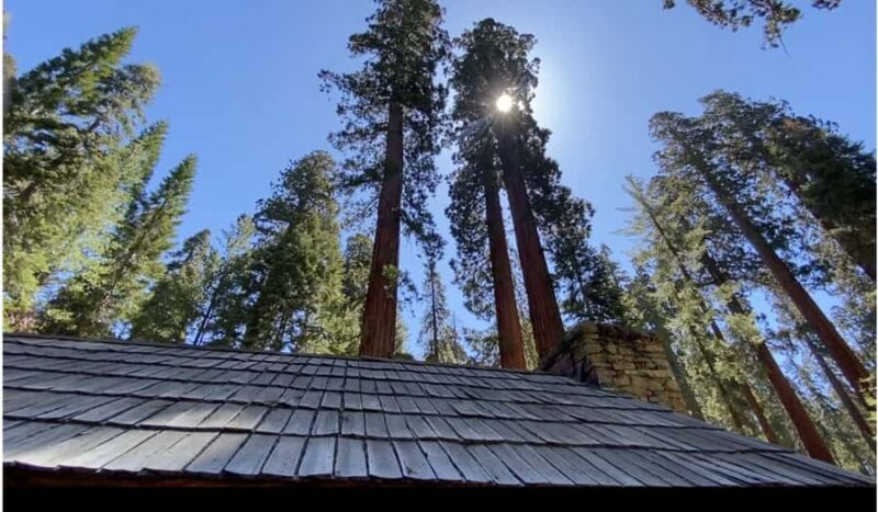 Yosemite: Mariposa Grove Guided Hike with Giant Sequoias - FAQ