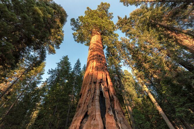Yosemite National Park Self Guided Driving Audio Tour Guide - Practical Details and Tips