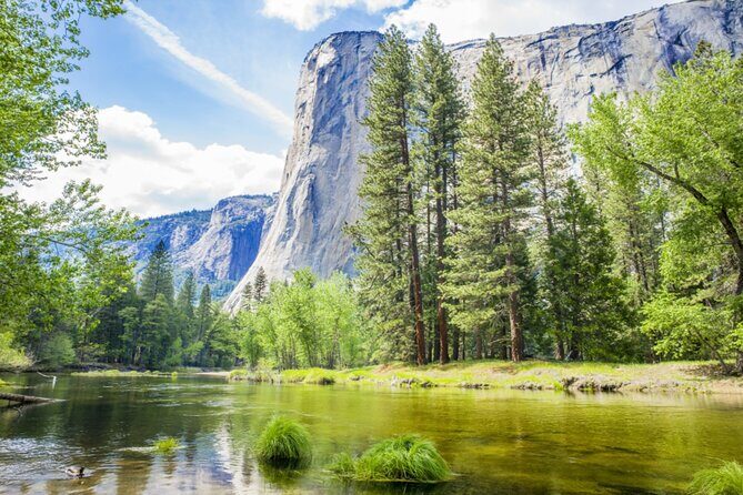 Yosemite National Park Self Guided Driving Audio Tour Guide - The Sum Up