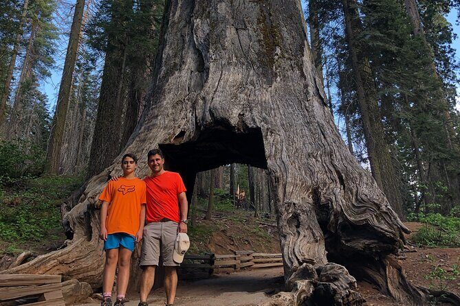 Yosemite Valley Discovery Walk - Who Would Love This Tour?