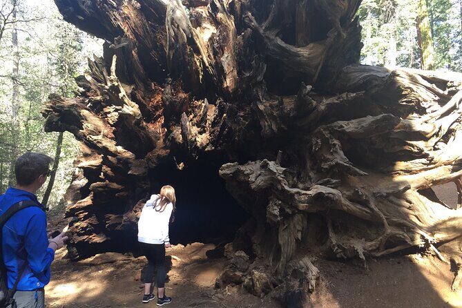 Yosemite Valley Discovery Walk - FAQ
