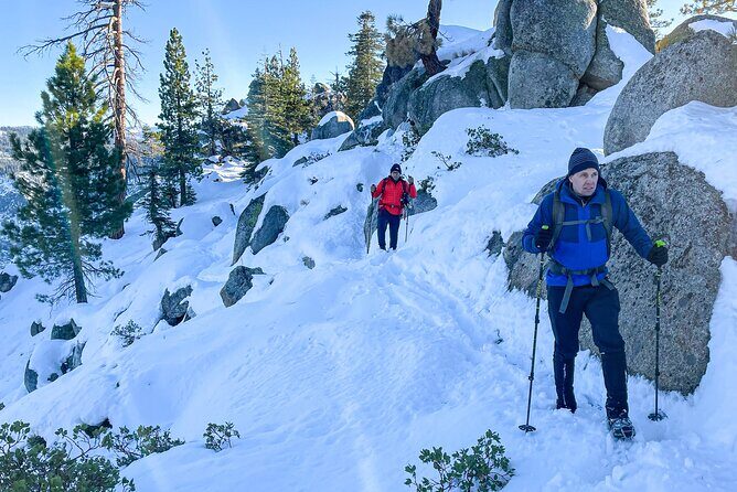 Yosemite Winter Wonderland Guided Hiking or Snowshoeing - Final Thoughts: Is It Worth It?