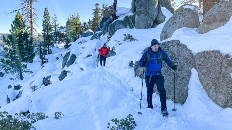 Yosemite Winter Wonderland: Guided Hiking or Snowshoeing - Exploring Yosemite in Winter: What You Can Expect