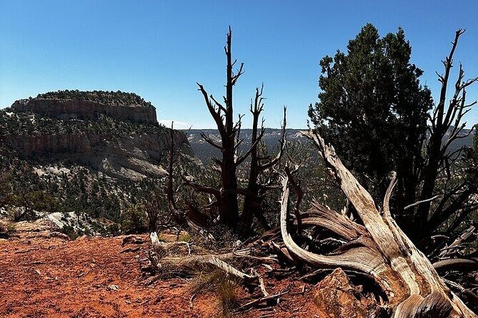 YOU DRIVE!! 4 Hr East Zion Guided UTV Tour - What’s Included and What’s Not