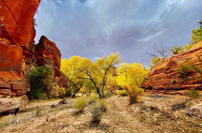 YOU DRIVE!! 4 Hr East Zion Guided UTV Tour - The Ride: What the Terrain Feels Like