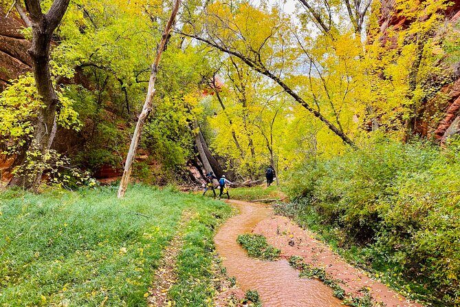 YOU DRIVE!! 4 Hr East Zion Guided UTV Tour - Who Will Enjoy This Tour?