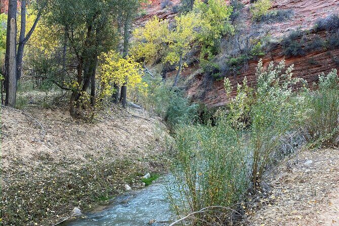 YOU DRIVE!! 4 Hr East Zion Guided UTV Tour - The Value for Money
