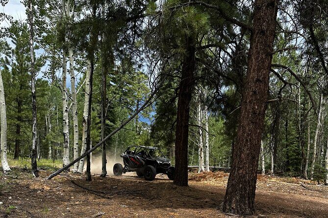 YOU DRIVE!! Iconic Grand Canyon Overlooks Full Day UTV Tour - Final Thoughts