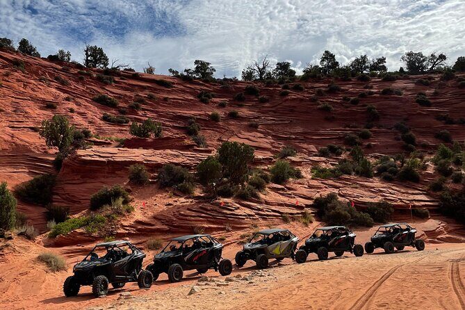 YOU DRIVE!! Rap & Ride - A Full Day of Rappelling and UTVs - What to Expect from the Tour