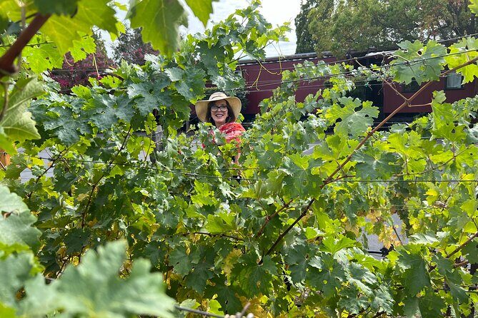 Yountville Food and Wine Tour in Napa - Final Thoughts