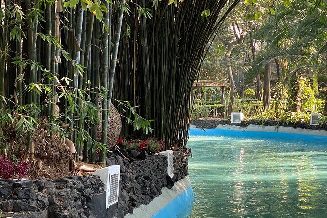 Your city, your way. Private Mexico City tour with a local expert - Practical Considerations