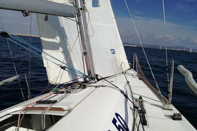 Your first experience Sailing - Private Trip in Ria Formosa - What’s Included and What’s Not