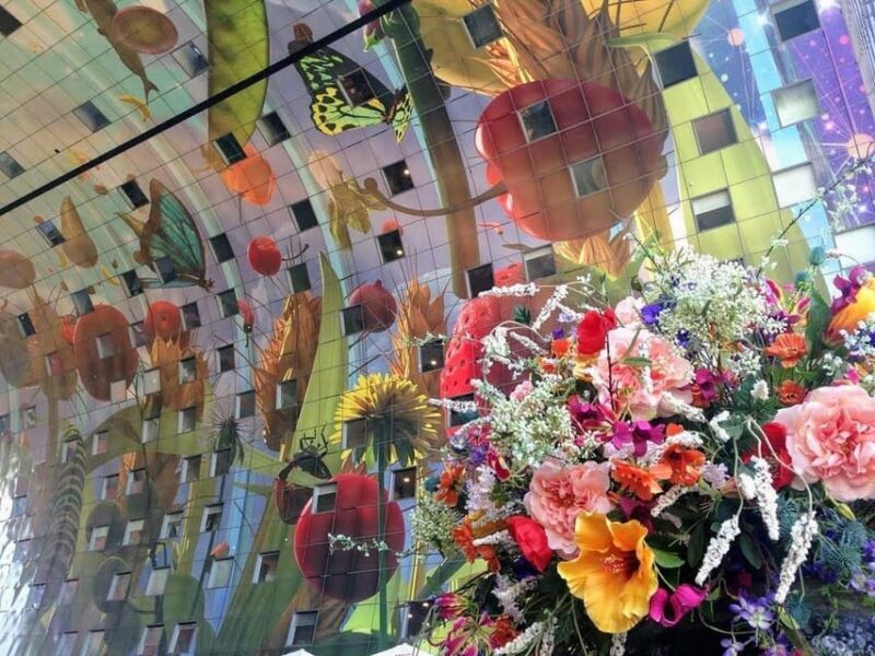 Your Own Holland. Rotterdam: Travel to the Future - Price and Value: Is It Worth It?