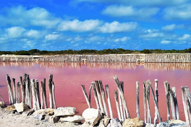 Yucatan Discovery: Motul, Hacienda, Xcambo, Xtampu & Progreso - FAQs