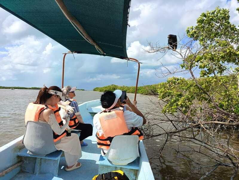 Yucatán: Río Lagartos Biosphere Reserve Boat Tour - The Real Traveler Experience