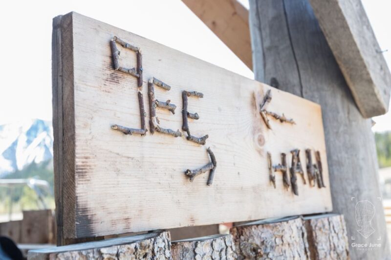 Yukon Dogs and Gold - Pricing and Value