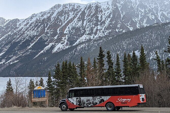 Yukon Husky Puppy Play Time & Summit Tour - Who Should Consider This Tour?