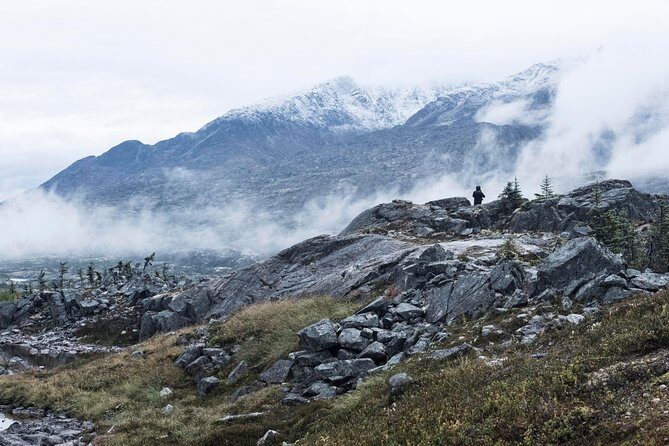 Yukon Suspension Bridge and Summit Tour - The Value for Money